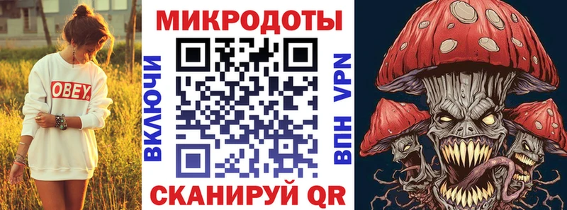 закладка  OMG зеркало  Псилоцибиновые грибы MAGIC MUSHROOMS  Санкт-Петербург 